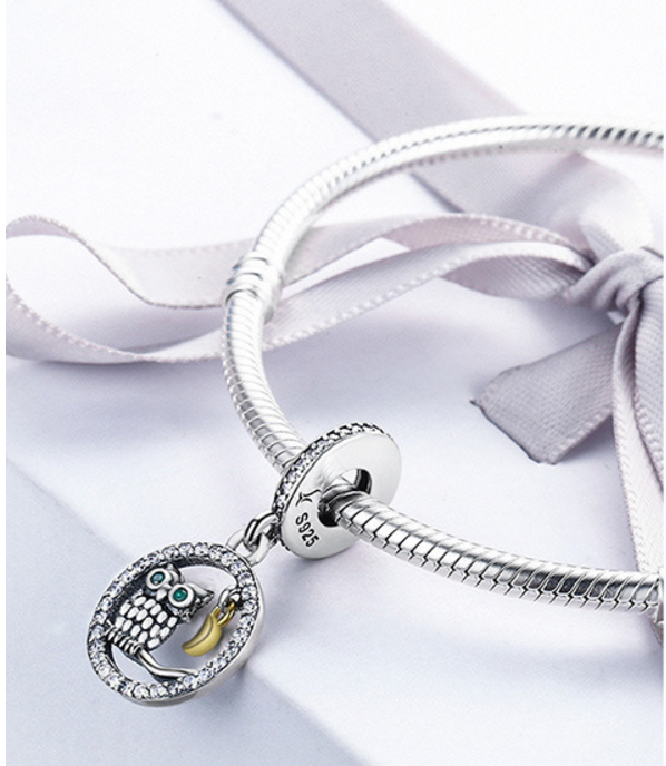 Sterling 925 silver charm the owl bead pendant fits Pandora charm and European charm bracelet Xaxe.com